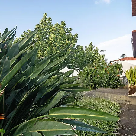 Bettencourt House Holiday home Santa Cruz da Graciosa