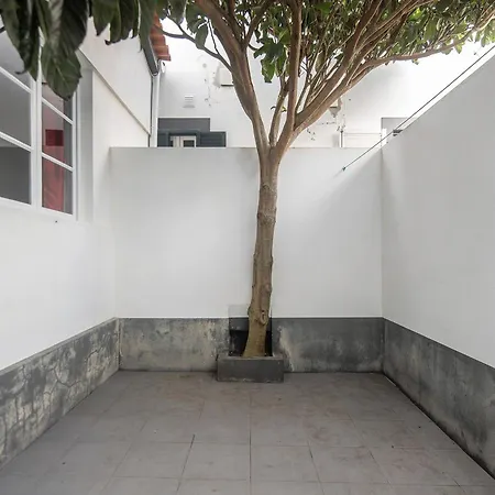 Bettencourt House * Santa Cruz da Graciosa